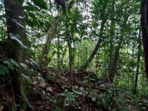 Priority Conservation Site for 2021
