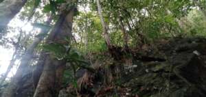 10 Acres to be Protected