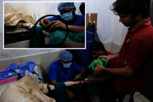 external fixation of the pins