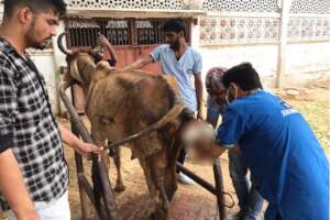 doctor is checking the condition