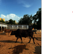 Victim of a road accident