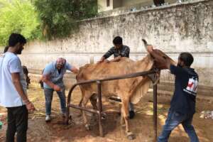 team started the process of repositioning