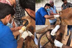 doctor is completing the process