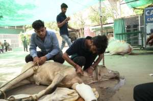 injectable medication