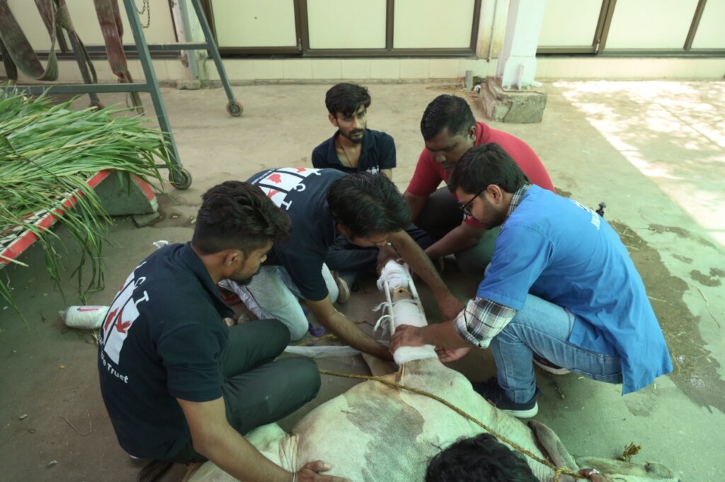 A window split bandage for fixing the broken bone