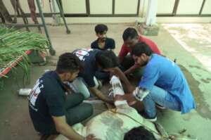 A window split bandage for fixing the broken bone