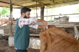 Injectable medicines