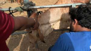 process of injectable medicines