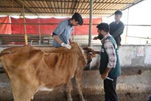 Maya was dehydrated and starved