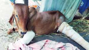 Suraj Recovering slowly