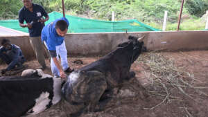 injuries from a road accident