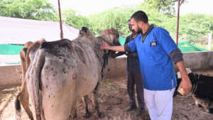 suffering from malnutrition