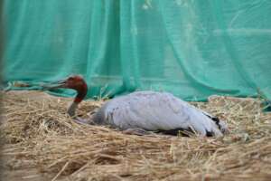 on the way to Recovery