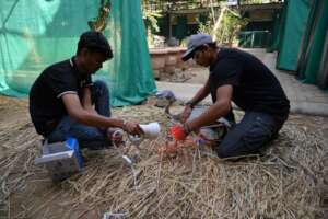 regular Infrared therapy