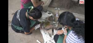 victim of a road accident