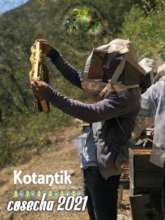 in the honey harvest