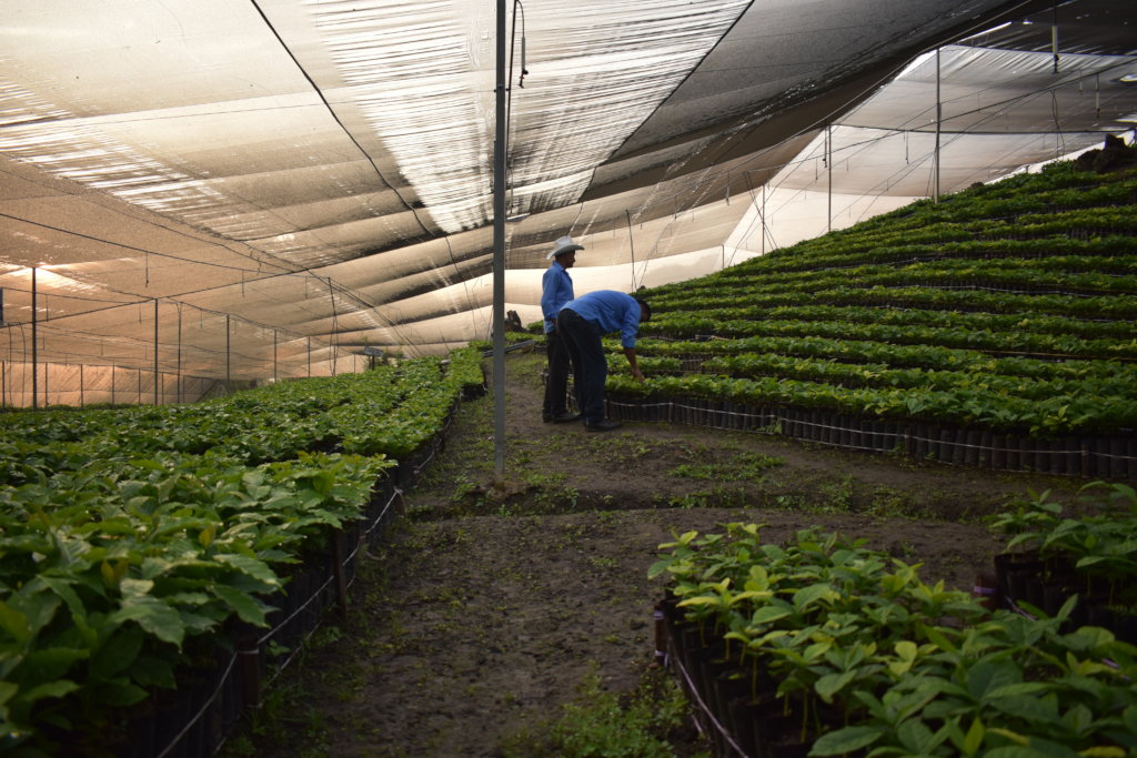 Improving lives of vulnerable families in Chiapas