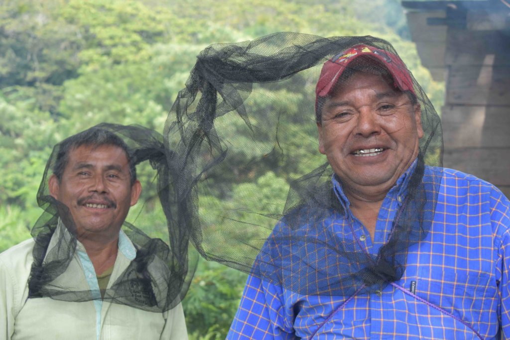 Improving lives of vulnerable families in Chiapas
