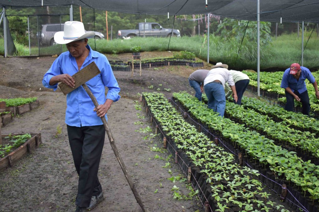 Improving lives of vulnerable families in Chiapas