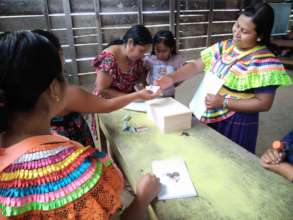 Seguimiento a cajas de ahorro