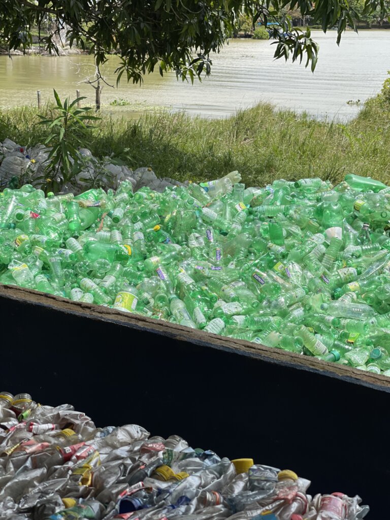 Ayapel garbage-free. Recycling & swamp protection
