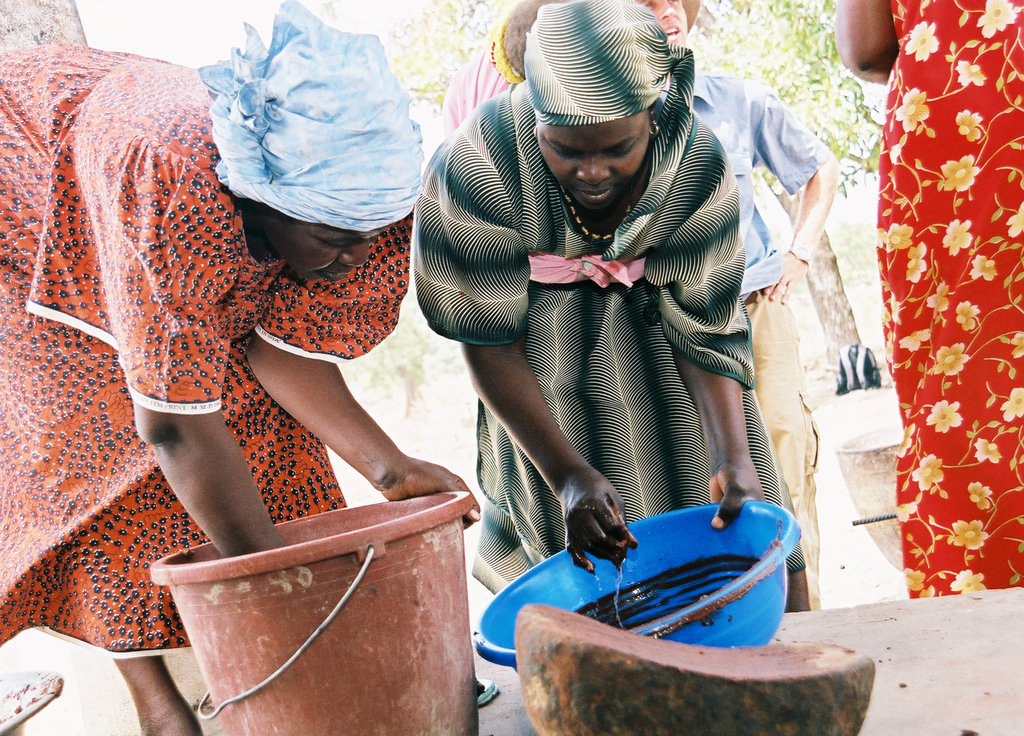Help 120 Women in Dio Build a Shea Butter Facility