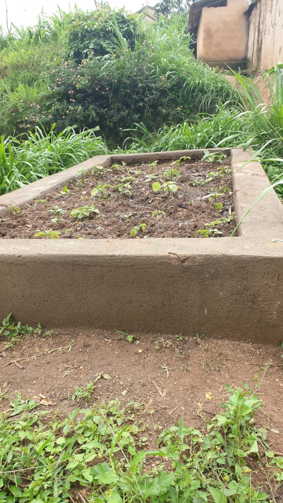 Fighting Malnutrition in 10 Villages of Nyanza