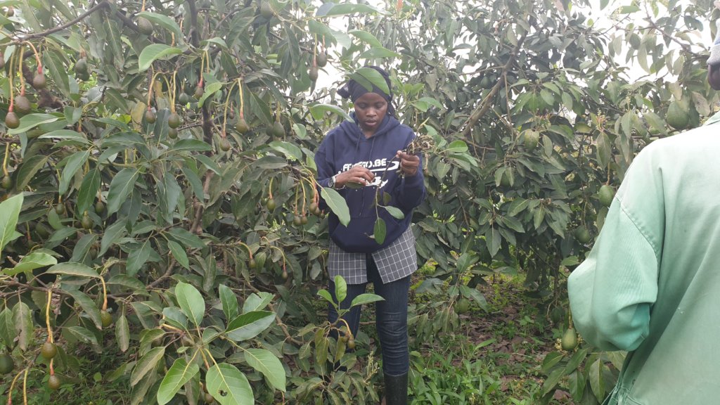 Fighting Malnutrition in 10 Villages of Nyanza