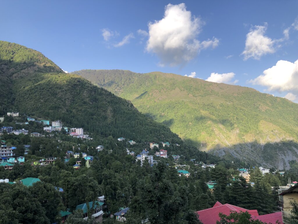 with beautiful neighborhood of trees