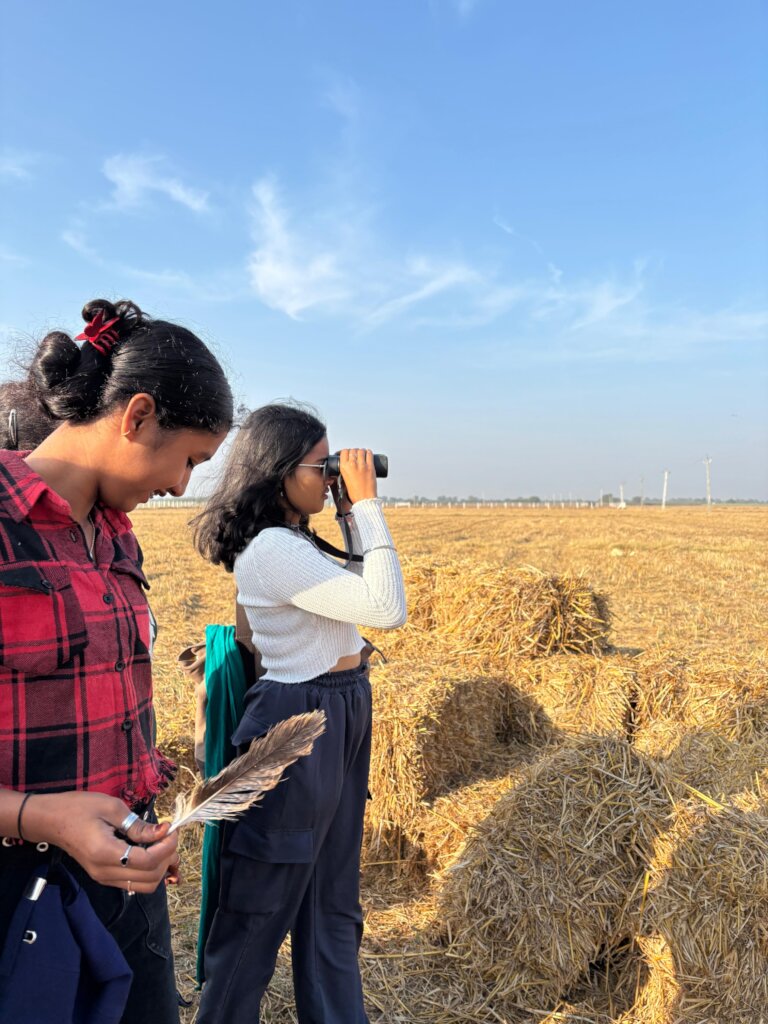 Bird Watching in Ahmedabad