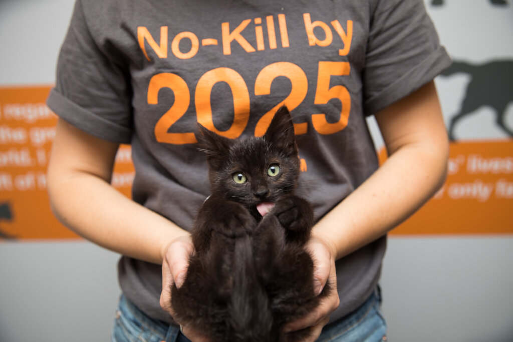 Save the lives of animals in our Nation's shelters