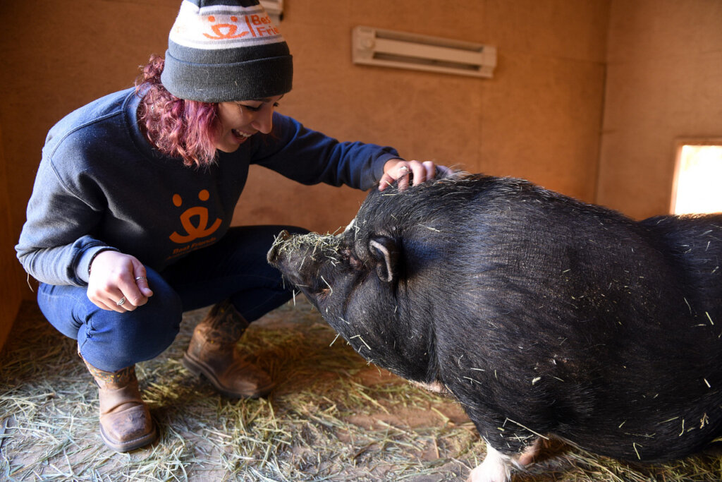 Save the lives of animals in our Nation's shelters