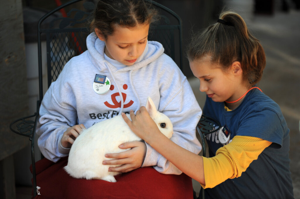 Save the lives of animals in our Nation's shelters