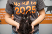 Save the lives of animals in our Nation's shelters
