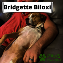 Bridgette Biloxi