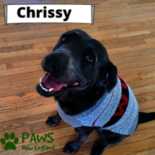 Chrissy