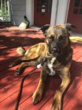 Dani Marley on her forever porch