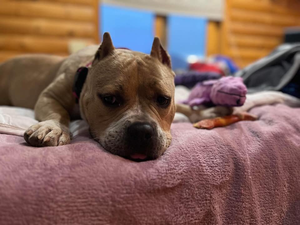 Fiona in foster care