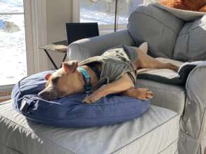 Ramona Kirby - adopted