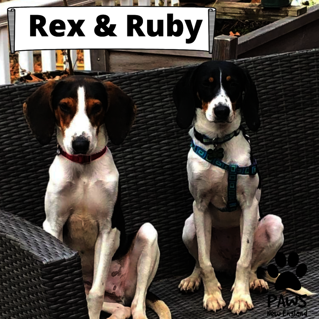 Rex & Ruby
