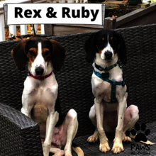 Rex & Ruby