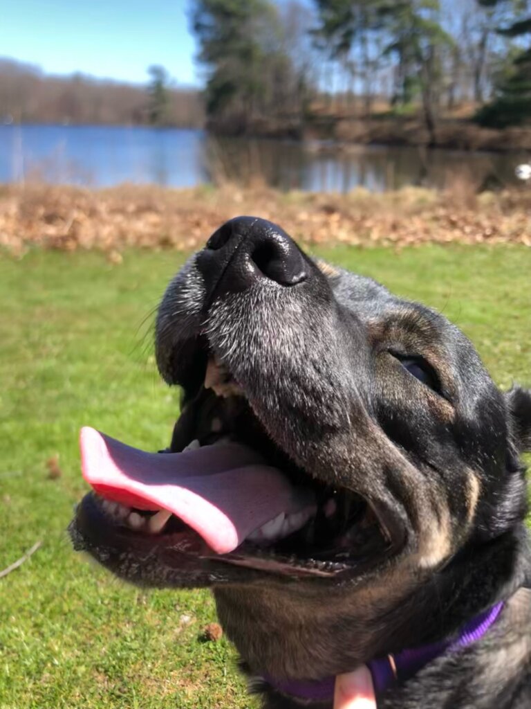 Rora in adoption home.