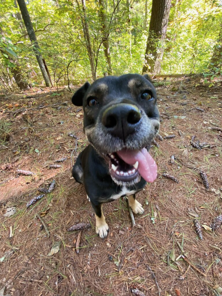 Rora after adoption