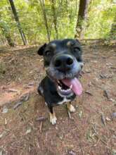 Rora after adoption