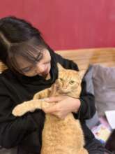 NamNing with our kitten, Koa