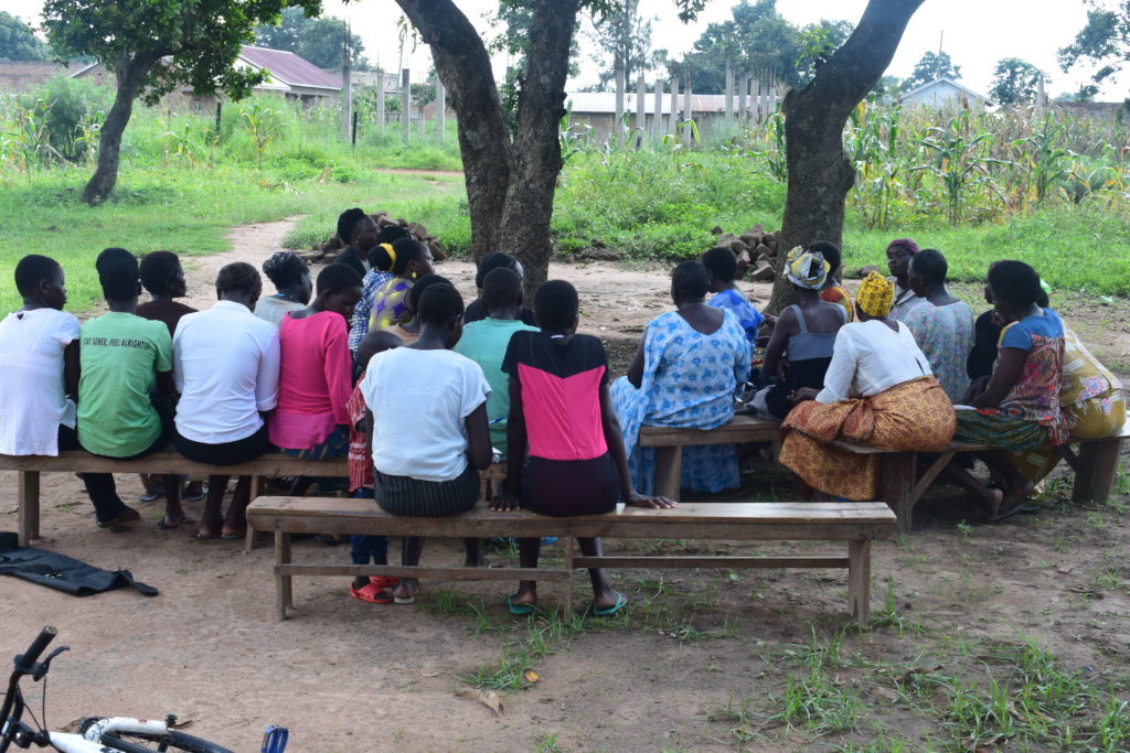 Help support 100 Child brides survivors