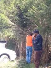Environmental Conservation