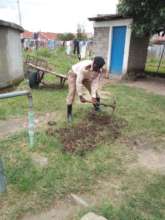 Tree planting with local Community Chief