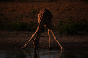 The beauty of Uganda