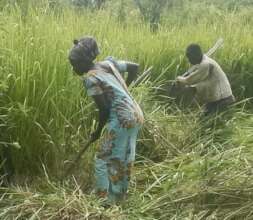 Eveline preparing land